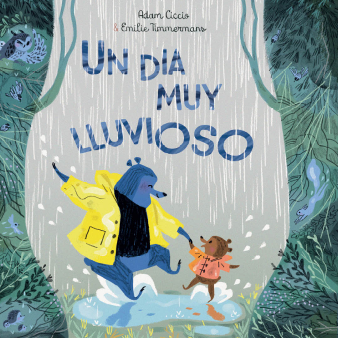 UN DIA MUY LLUVIOSO