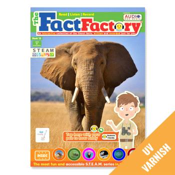 THE FACT FACTORY UK ENGLISH UV 12