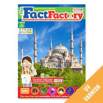 THE FACT FACTORY UK ENGLISH UV 7