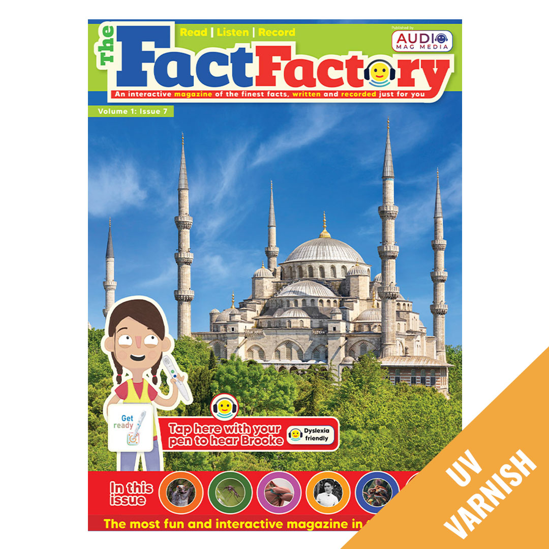 THE FACT FACTORY UK ENGLISH UV 7