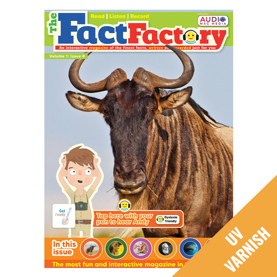 THE FACT FACTORY UK ENGLISH UV 8